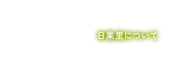 日果里について